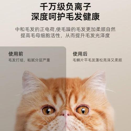 哔卡哔宠物吹毛烘干机 重新定义宠物护理的智能新体验