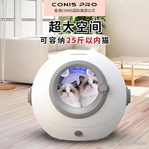2025年宠物吹风机品牌排行榜前10名 助力宠物护理的完美选择