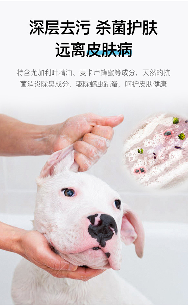 宠物狗狗沐浴露选购指南 杀螨除菌除臭止痒，泰迪比熊金毛专用香波推荐